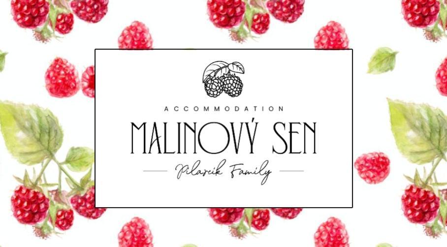Bed and Breakfast Malinovy Sen Habovka Exteriér fotografie